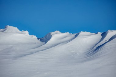 Crested snowdrifts form graceful curves carved by wind, glowing under crisp sunlight against a cloudless ultramarine winter sky