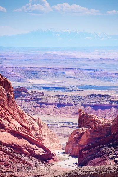 Cañón del lobo manchado — Foto de Stock