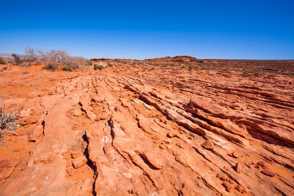 Parc national des Canyonlands — Photo