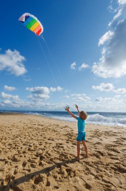 Genç bir çocuk kumlu bir sahilde renkli bir uçurtma uçuruyor, güneşli bir günün tadını çıkarıyor. Arka planda yavaşça dalgalar çarpıyor ve bulutlar gökyüzüne yayılıyor.