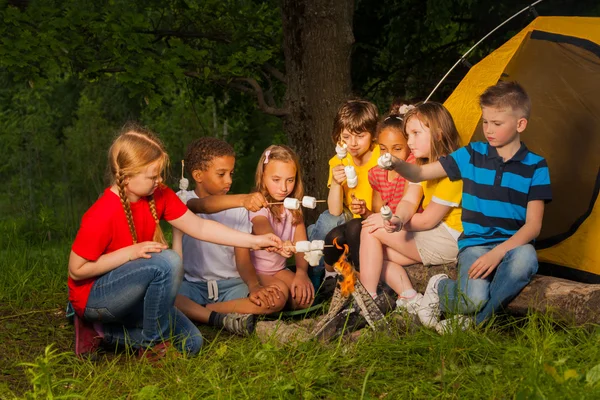 Olika barn med marshmallow behandla nära brasa — Stockfoto