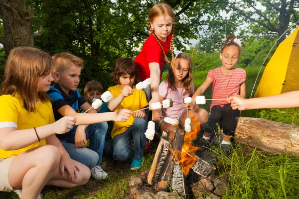 Kinderen zitten in de buurt van vreugdevuur met marshmallow — Stockfoto