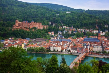 Heidelberg panorama of city castle clipart