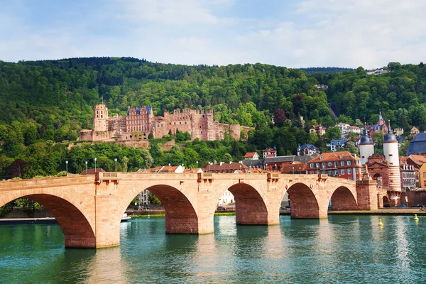 Řeka v Heidelbergu — Stock fotografie