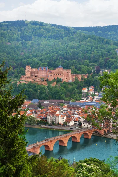 Heidelberg through fir tree — Stock Photo, Image