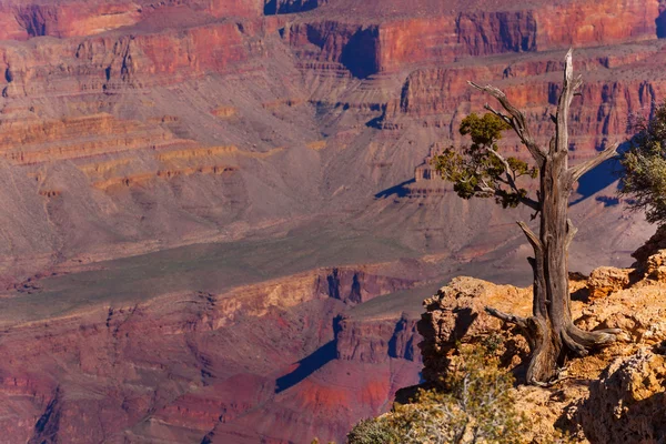 Details van Grand Canyon — Stockfoto