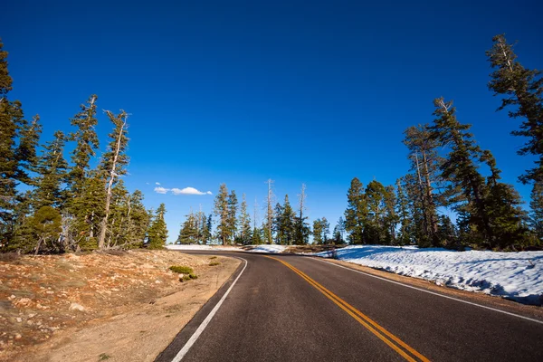 Road in Bruce canyon national park — Stockfoto