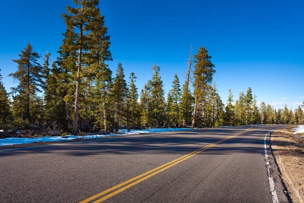 Road in Bruce canyon national park — Stock Photo, Image
