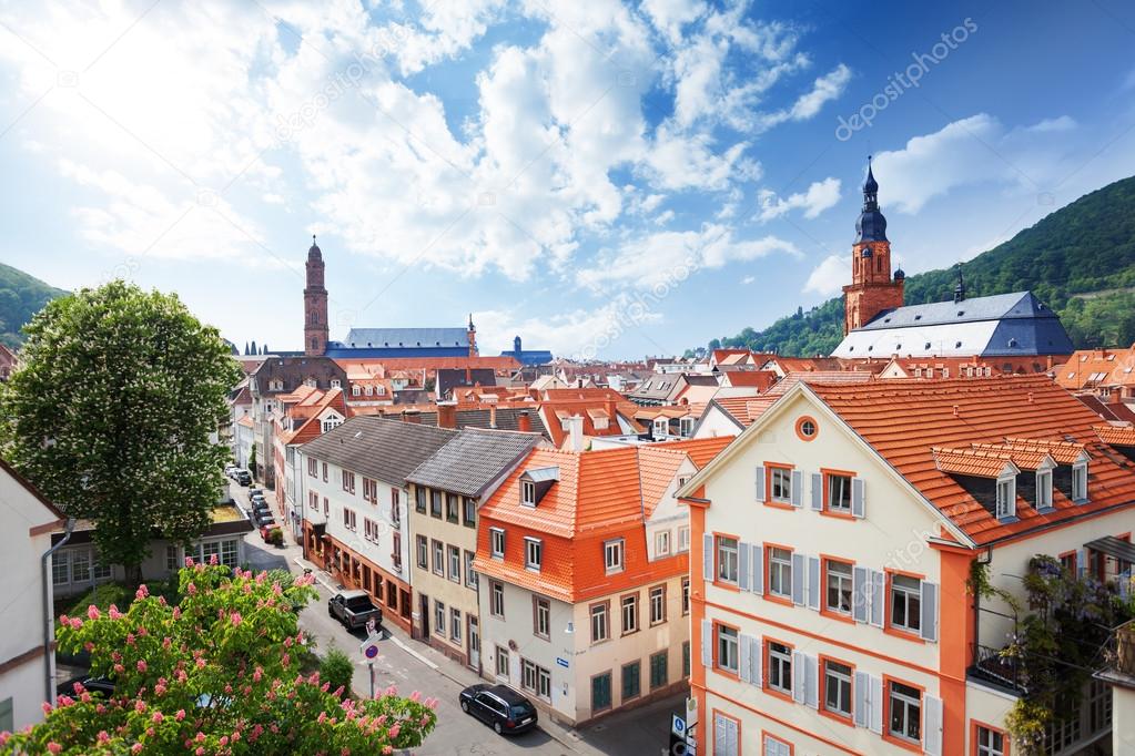 View of the street in Heidelberg