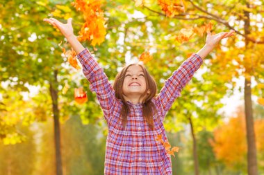 Kız atmak akçaağaç turuncu yaprak