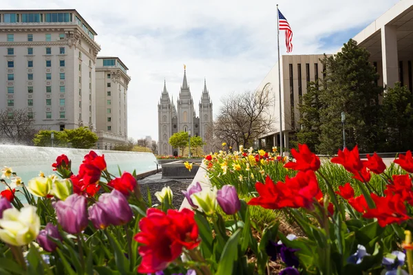 Salt Lake Temple close-up květy — Stock fotografie