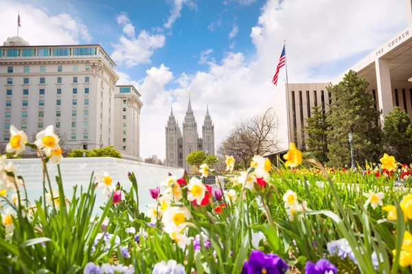 Blommor och Salt Lake-templet — Stockfoto
