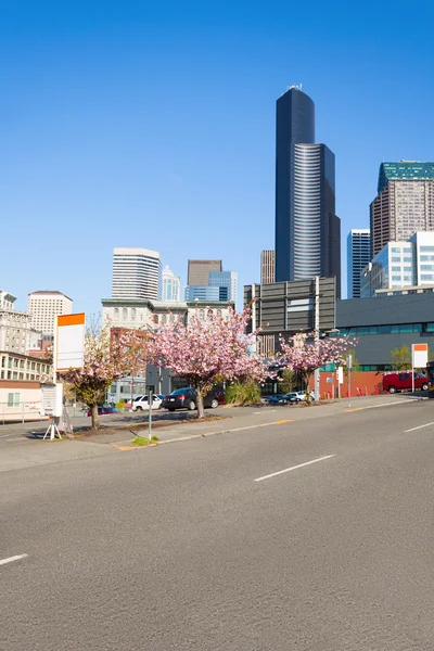 Belle vue sur Seattle centre-ville — Photo