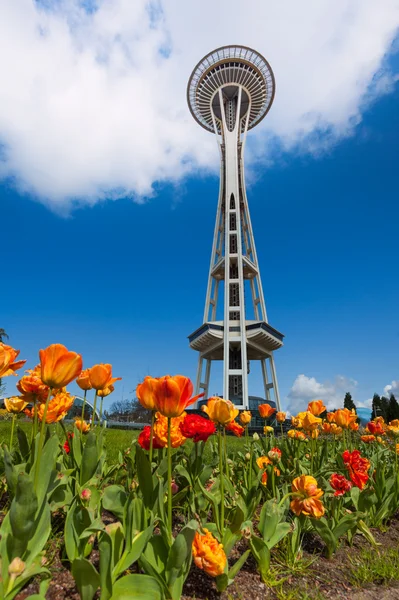 Weltraum-Nadelturm mit Tulpen — Stockfoto