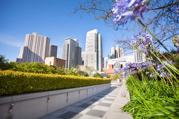 Virágok a Yerba Buena Gardens park — Stock Fotó