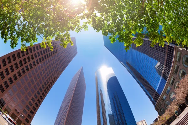 Grattacieli nel centro di Los Angeles — Foto Stock