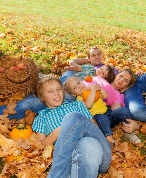 Family on the grass and basket — Zdjęcie stockowe