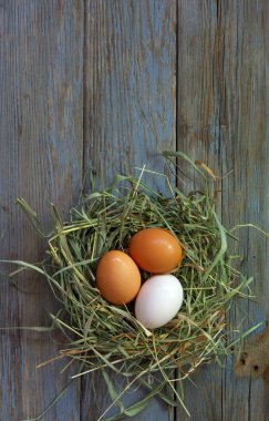 Tavuk yumurtası eski ahşap tahta üzerinde yuva
