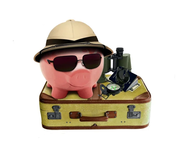 Piggy en vacaciones — Foto de Stock