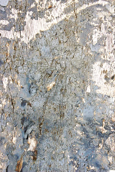 Ξεπερασμένο χρώμα πτώση αποκαλύπτοντας ξύλο — Φωτογραφία Αρχείου