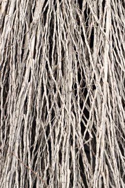 Bitki malzeme doğal desen