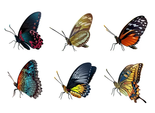 Seis mariposas brillantes — Archivo Imágenes Vectoriales