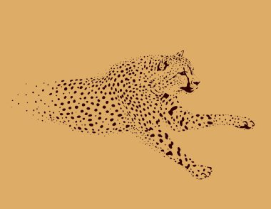 Leopar bej renkli bir arka plan üzerinde çalışan rakam