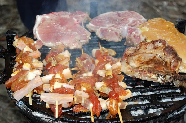 Griglia e barbecue — Foto Stock