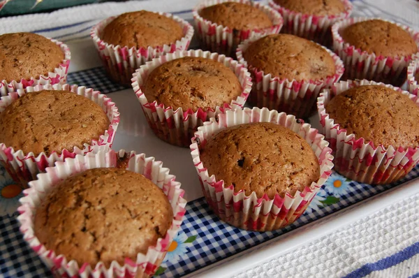 Muffin — Foto Stock