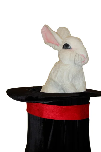 Conejo de sombrero Imagen de stock