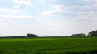 tarıma elverişli arazi