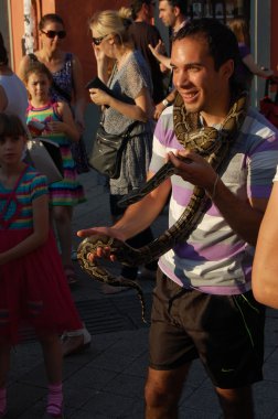 Yılan arounde boyun