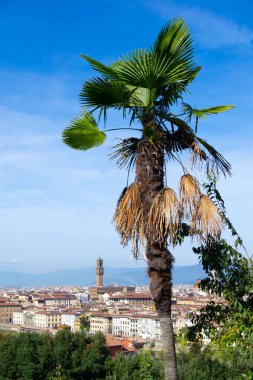Floransa, İtalya 'nın panoramik manzarası, Arno Nehri, birden fazla köprü ve şehrin üzerinde yükselen Palazzo Vecchio kulesi. Açık mavi gökyüzü ve uzak tepeler bu ikonik Rönesans manzarasını tamamladı.
