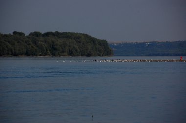 Adası'nda Tuna Nehri
