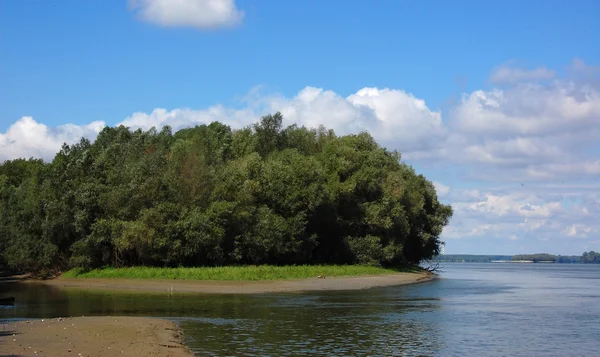 Острів в Дунаю — стокове фото