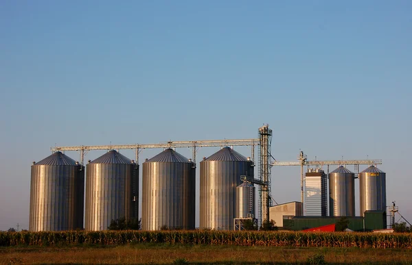 Silos sur le terrain — Photo