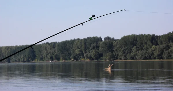 A fishing rod — Stock Photo, Image