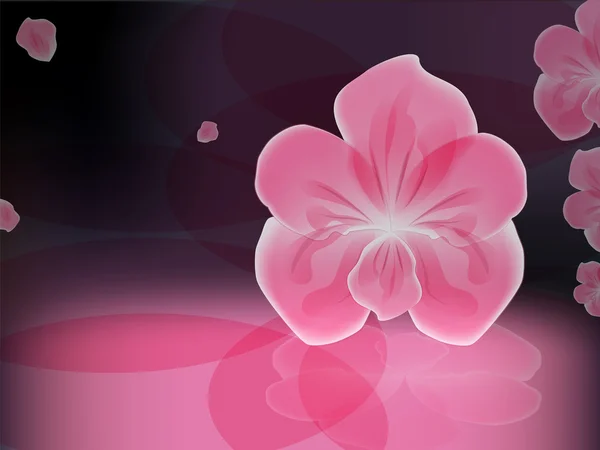 Orquídea rosa — Vector de stock
