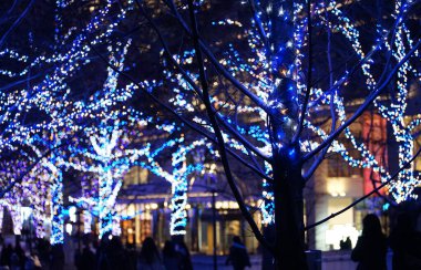 Geceleri şehrin sokaklarını aydınlatan mavi ışık.                               