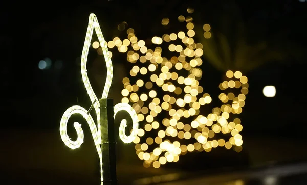 밤에는 크리스마스 정원을 밝히는 — 스톡 사진