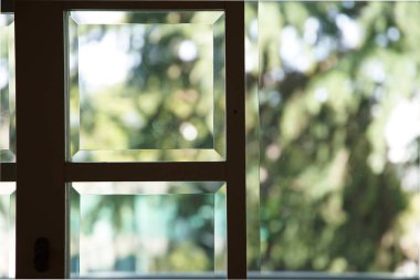 Pencereler gündüz bahçenin yeşilliğini gösteriyor.                               