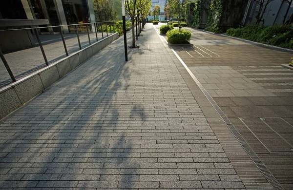 阳光明媚的城市 绿树成荫的人行道 — 图库照片