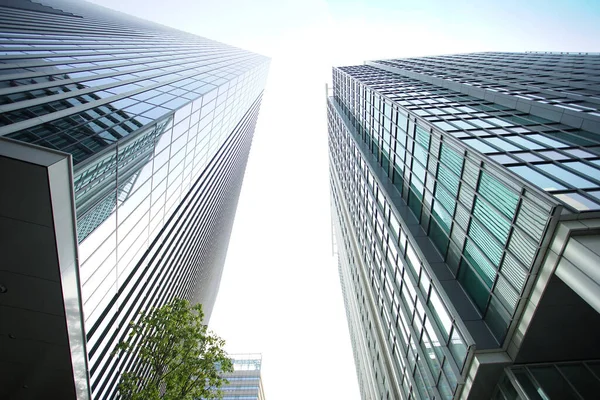 Windowpanes Modern Skyscraper Sunny Day — Stock Photo, Image