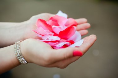 avuç içi gül yaprakları