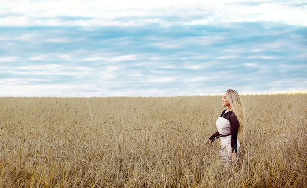 Девушка позирует в поле на закате — стоковое фото