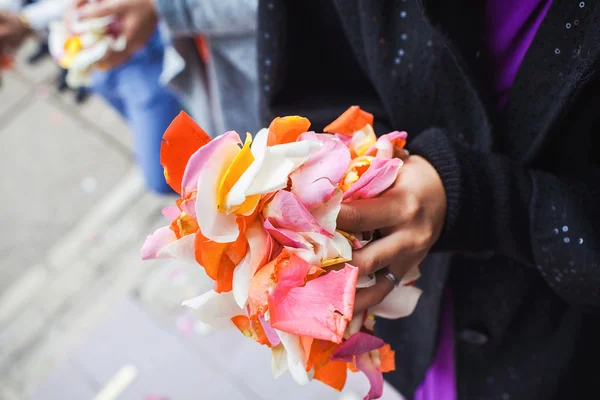 Rose petals in palms — Stock Photo, Image