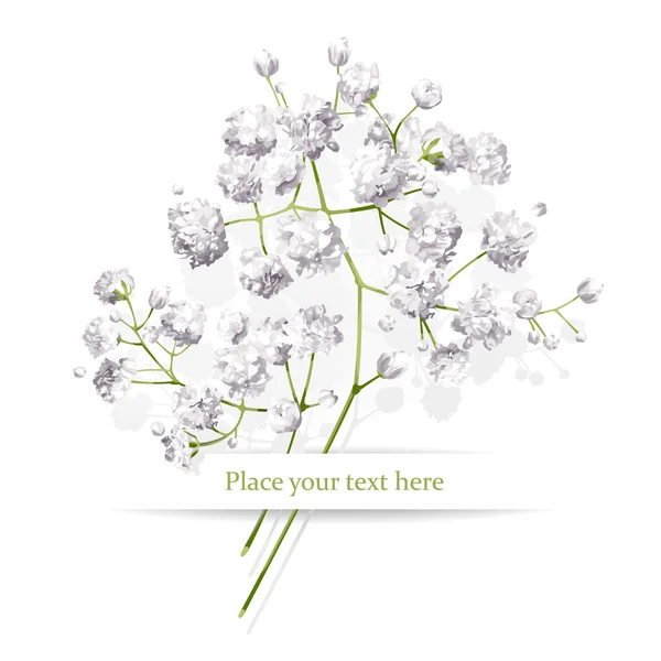 Bouquet de petites fleurs blanches — Image vectorielle