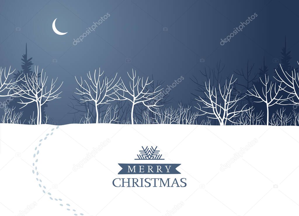 Night winter forest in the moonlight. Vector background for Christmas cards, banners, posters, seasonal sales, with lettering design template.