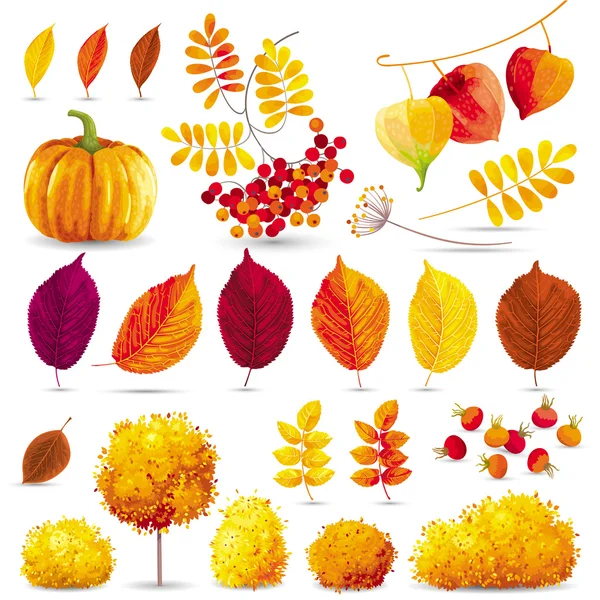 Set autunnale — Vettoriale Stock