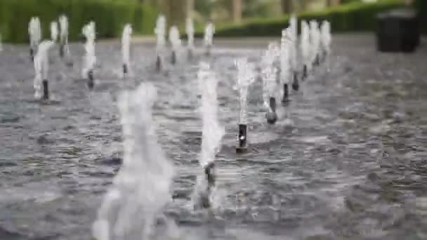 Filas de fuentes en un parque — Vídeo de stock